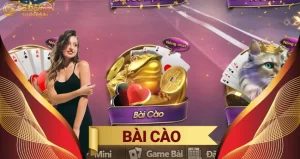 bài cào