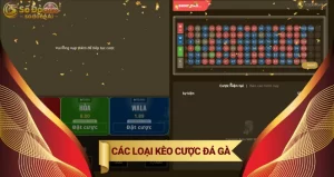 kèo cược đá gà