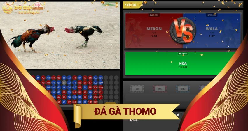 Đá Gà Thomo - Theo dõi những trận chiến kịch tính tại SODO66