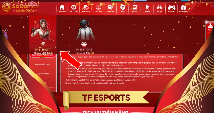 TF Esports - Sảnh thể thao điện tử lôi cuốn bậc nhất