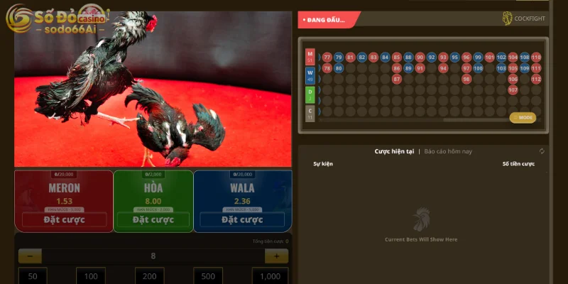 Trải nghiệm cá cược với đa dạng các loại kèo